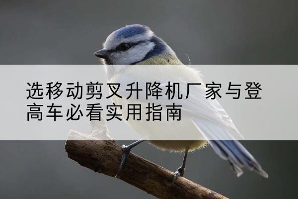 易门电动升降机厂家-选移动剪叉升降机厂家与登高车必看实用指南