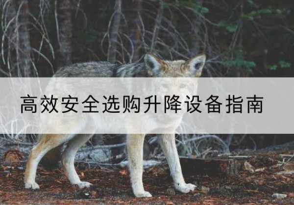 易门升降货梯厂家推荐-*安全选购升降设备指南