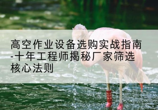 易门剪叉式升降机厂家-高空作业设备选购实战指南-十年工程师揭秘厂家筛选核心法则